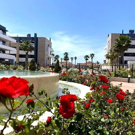 Magnifico Apartamento De 3